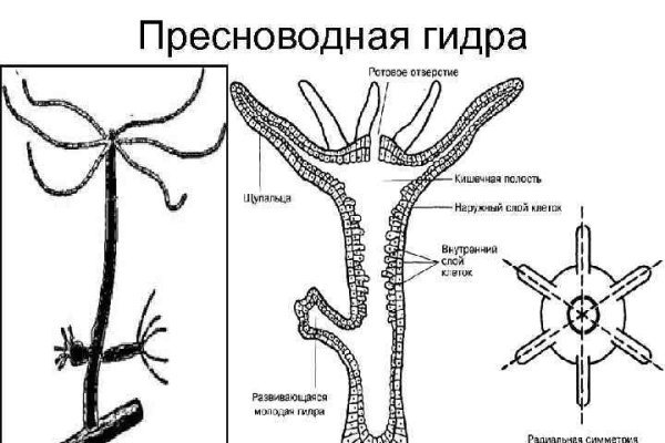 Сайты типа гидры