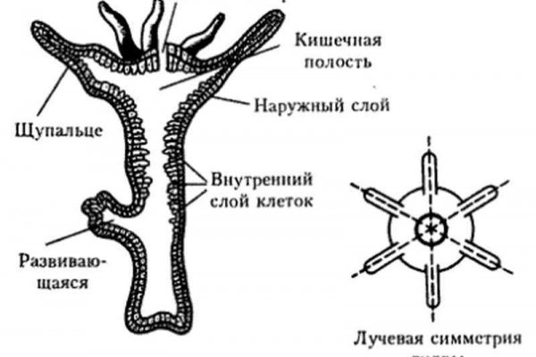 Кракен сайт 1kraken me вход